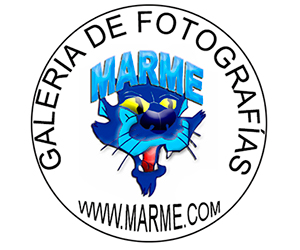 Publicidad